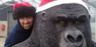 Owner Andrew Scott with Gary the gorilla source: mirroruk