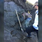 Scientists revive ‘zombie’ virus frozen in permafrost for 48,500 years Cores of earth drilled from Siberian permafrost have been analyzed to detect frozen viruses. Jean-Michel Claverie/IGS/CNRS-AM