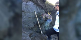 Cores of earth drilled from Siberian permafrost have been analyzed to detect frozen viruses. Jean-Michel Claverie/IGS/CNRS-AM
