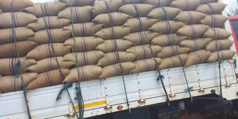 COCOBOD intercepts over 1,500 bags of smuggled cocoa