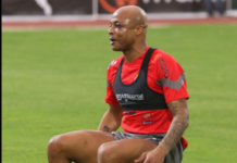 Andre Ayew