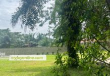 Caretakers of Akufo-Addo’s Kyebi garden reject Prof Frimpong-Boateng’s galamsey report Akufo-Addo’s Kyebi garden