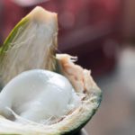 Coconut malai