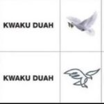 The two Kwaku Duahs will appear in a consecutive order on the ballot paper on May 23