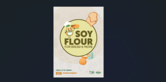 Soy Flour