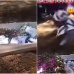 Woman in ‘Father Bernard’ video speaks