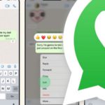 WhatsApp releases its biggest and best new feature in years – check your phone now (Image: WHATSAPP)