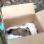 Lifeless baby abandoned