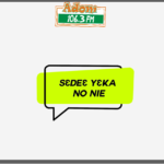 'Sɛdeɛ Yɛka No Nie