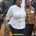 Assin North by-election: Vote-buying allegations worrying – Naana Opoku-Agyemang