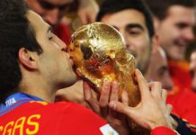 Cesc Fabregas won the World Cup with Spain in 2010