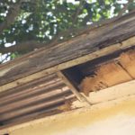 Portions of the ceiling destroyed, making it accessible to the predators