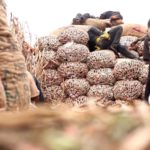 Niger Coup: Over 45 million cedis lost as trucks delivering onions to Ghana are blocked