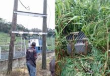 Three arrested for stealing ECG transformer in Volta Region