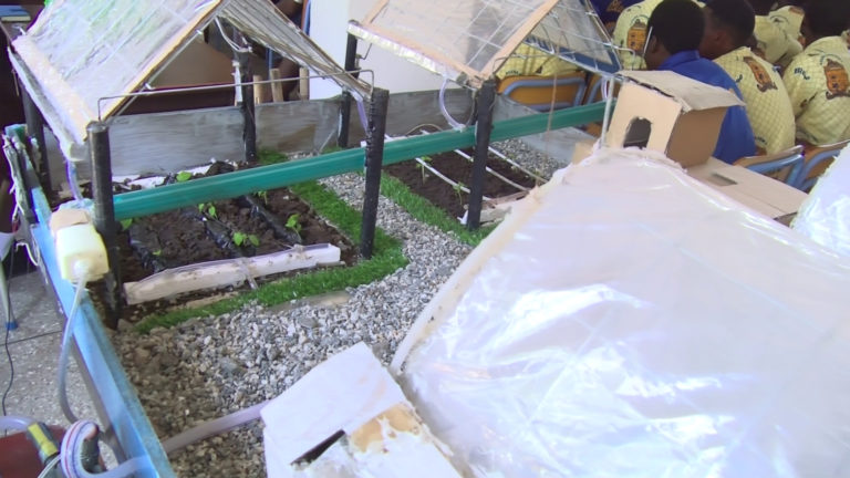 STEMNNOVATION 2023: Shaping tomorrow’s job creators