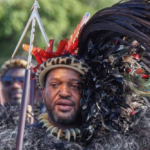 Zulu princes injured in car crash amid succession battle