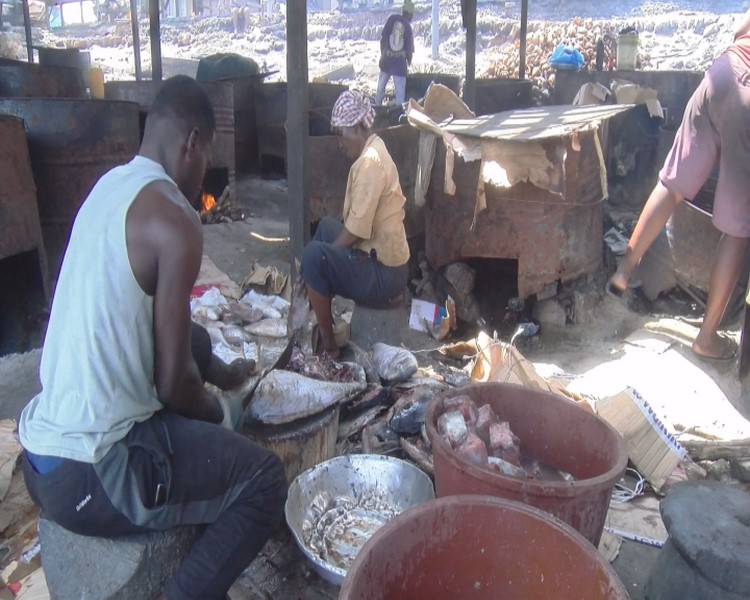 "Health Crisis in Ghana's Fishing Industry: Women Bear Heavy Burden of Fish Smoking Hazards"