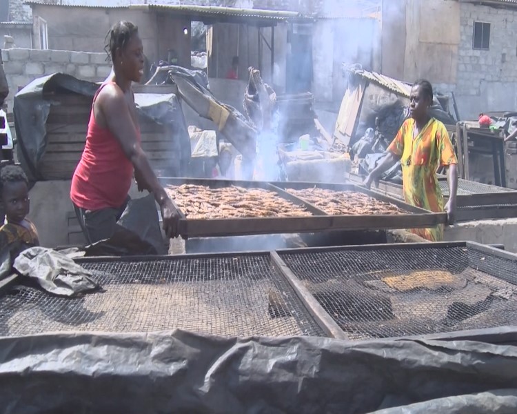 "Health Crisis in Ghana's Fishing Industry: Women Bear Heavy Burden of Fish Smoking Hazards"