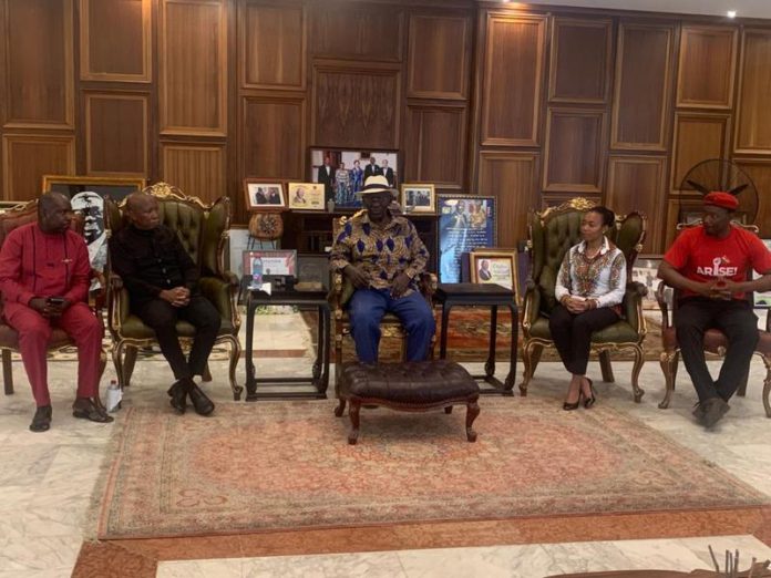 Julius Malema visits Kufuor and Mahama