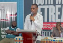 NDC bigwigs cutting deals with corrupt officials of previous gov’t – Fifi Kwetey alleges