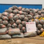 NDLEA intercepts over 14kg of cannabis from Ghana
