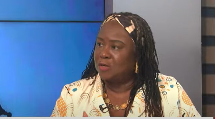 Anti- LGBTQI+ Bill: We’re ready for you in court – Prof Gadzekpo told