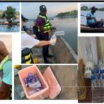 Scientists adopt rapid bacteria testing kits