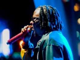 Stonebwoy performs at Cali Vibes Festival 2024, USA