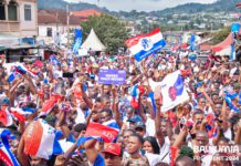 Global Patriots Germany urges unity and discipline within NPP amid rebuilding efforts
