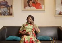 Prof Naana Jane Opoku-Agyemang