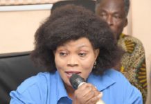 PNP raises alarm over erosion of democracy under NDC administration