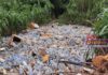 Former Mayor of Accra calls for economic value for plastic waste amid waste management concerns