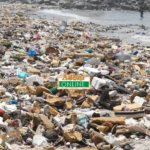 Investing in sanitation could add $4.8 billion to Ghana’s economy — ISSER