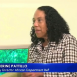 Deputy Director of the Africa Department at the International Monetary Fund (IMF), Catherine Pattilo