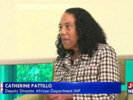 Deputy Director of the Africa Department at the International Monetary Fund (IMF), Catherine Pattilo