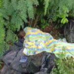 Why do we need 30 days to identify who dumped patient in the bush? – Mary Addah