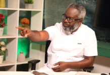 Reprint presidential ballot without Akua Donkor’s image – Kofi Akpaloo