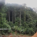 Portion of the Bosomtwe Range Forest Reserve destroyed through illegal mining operations