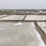 Songhor Salt Mining: Ada Traditional Council takes battle with Electrochem to Parliament