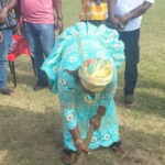 Sammi Awuku cuts sod for reconstruction of GH¢4m Mampong Coronation Park