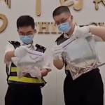 Man in China caught smuggling 100 live snakes in his trousers
