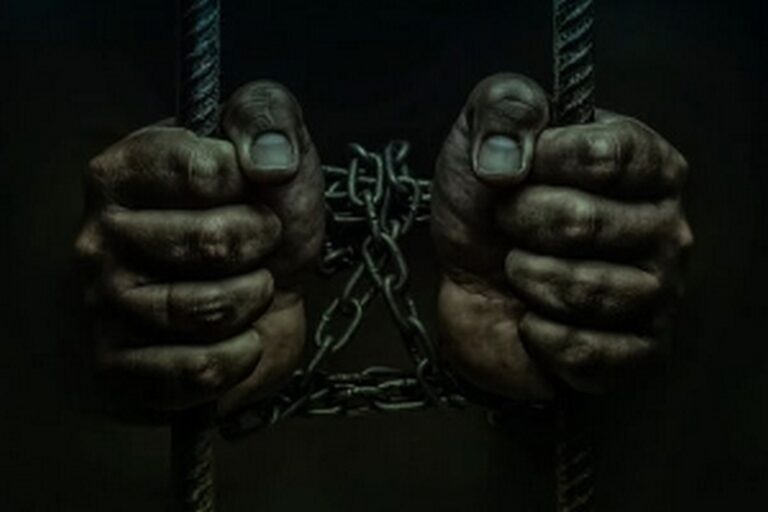 World prison population reaches 11.5 million