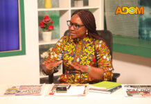 Re-declaration of parliamentary results affront to our democracy – Joyce Bawah