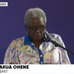 Veteran journalist and former Minister of State, Elizabeth Ohene