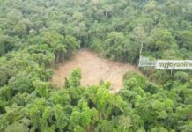 Miners invade Draw River Forest Reserve in Western Region.