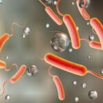 Ghana Health Service declares Greater Accra cholera-free