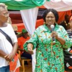 The Vice Presidential Candidate of the National Democratic Congress (NDC), Professor Naana Jane Opoku-Agyemang