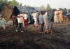 Fire kills 104 people after fuel tanker crash in Nigeria
