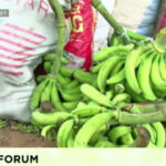 The People's Forum: Traders in Nsawam market lament low patronage amid high prices