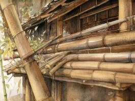 IET-Ghana shares insights on use of bamboo as building reinforcement